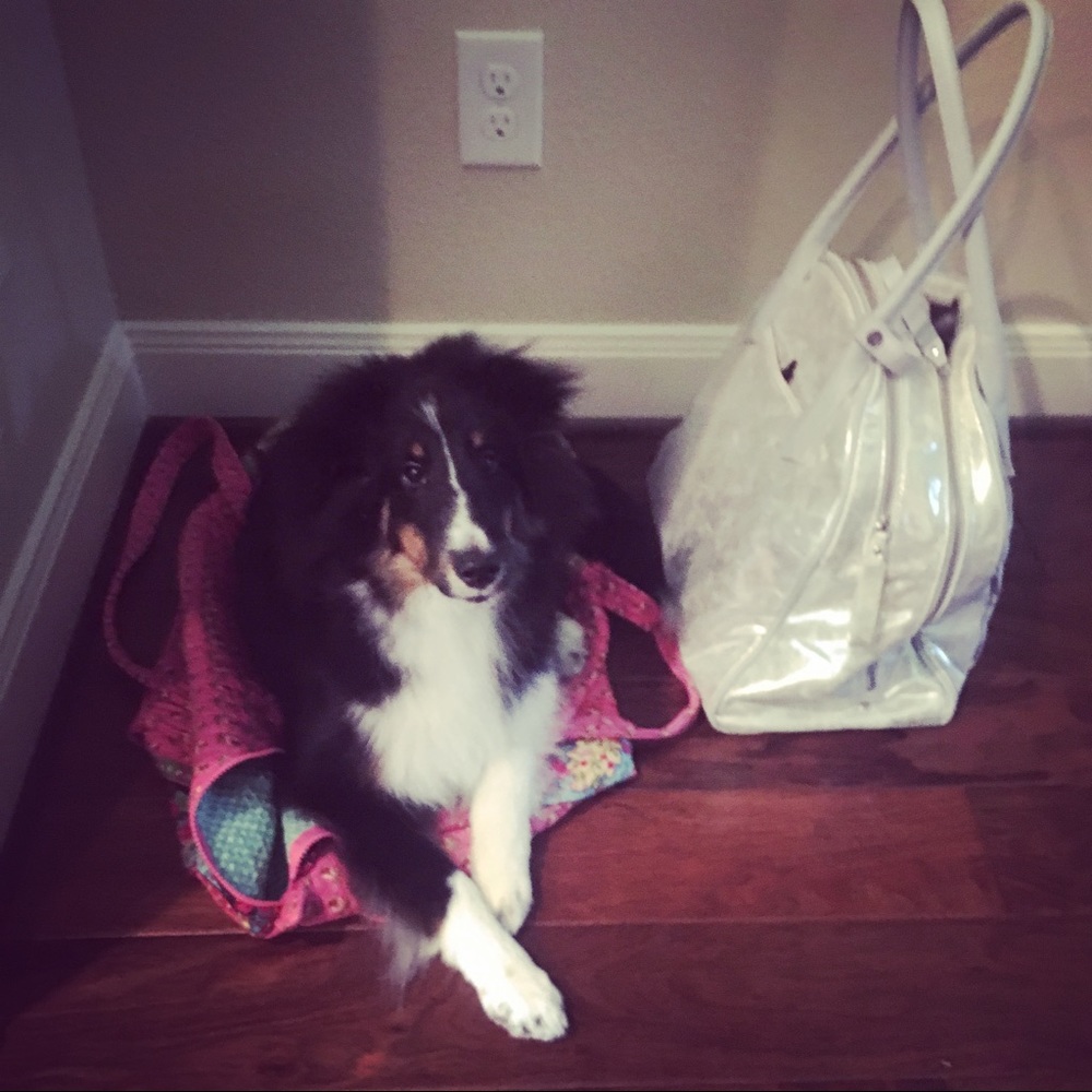 Meet your Posher, Sarah